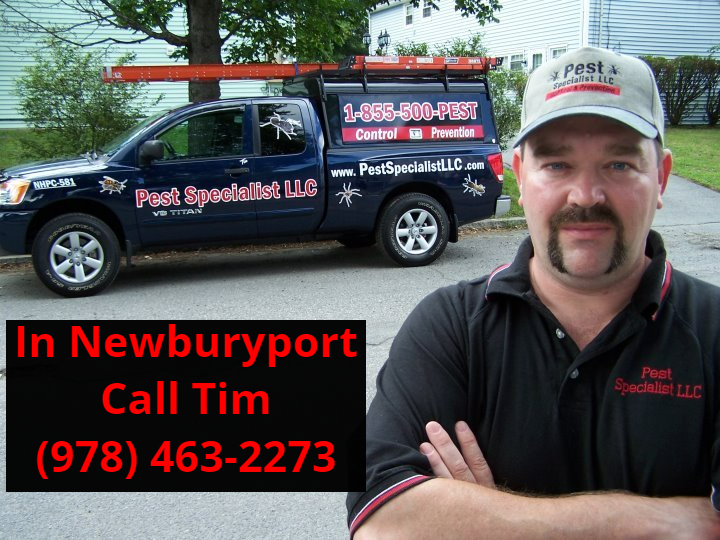 Pest Control Newburyport MA