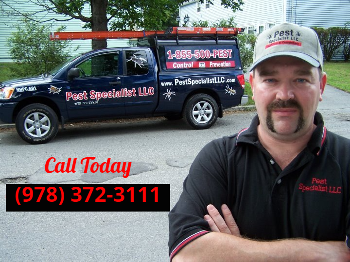 Pest Control Merrimac, MA