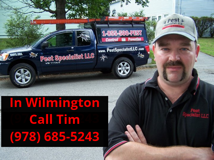 Pest Control Wilmington MA