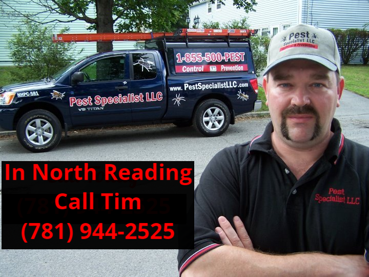Pest Control North Reading MA