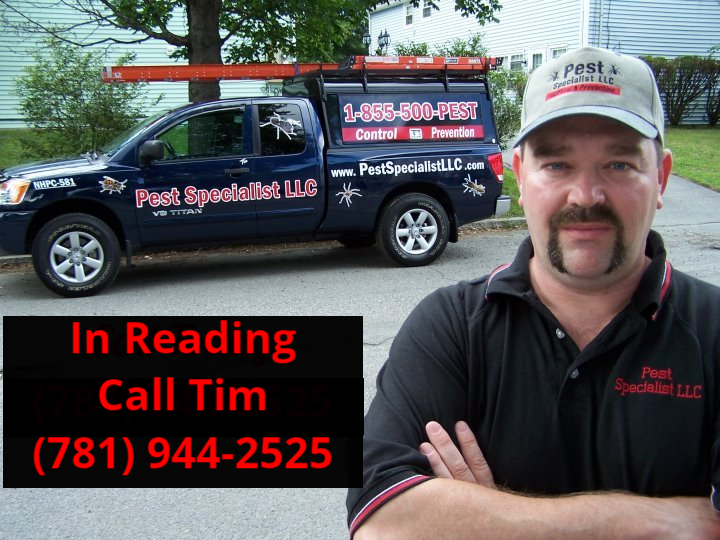 Pest Control Reading MA