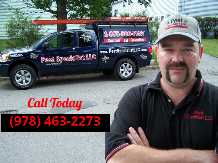 Pest Control Lawrence MA