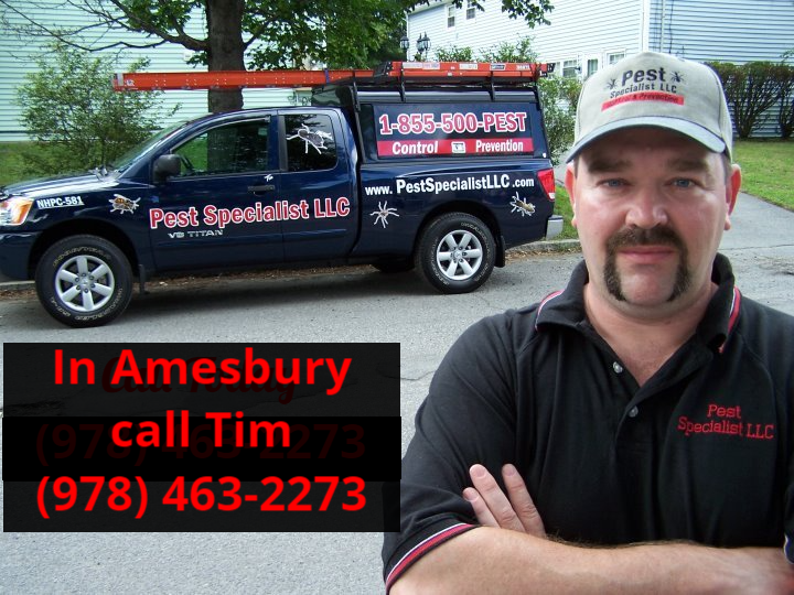 Pest Control Amesbury, MA