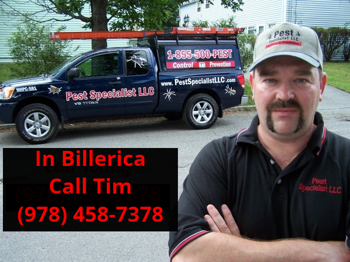 Pest Control Billerica, MA