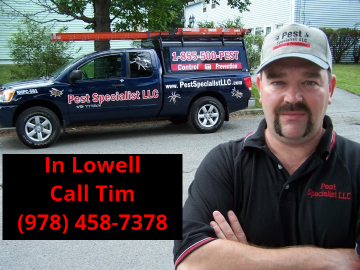 Tim has been an exterminator in Lowell for over 25 years. Pest Control Lowell, MA