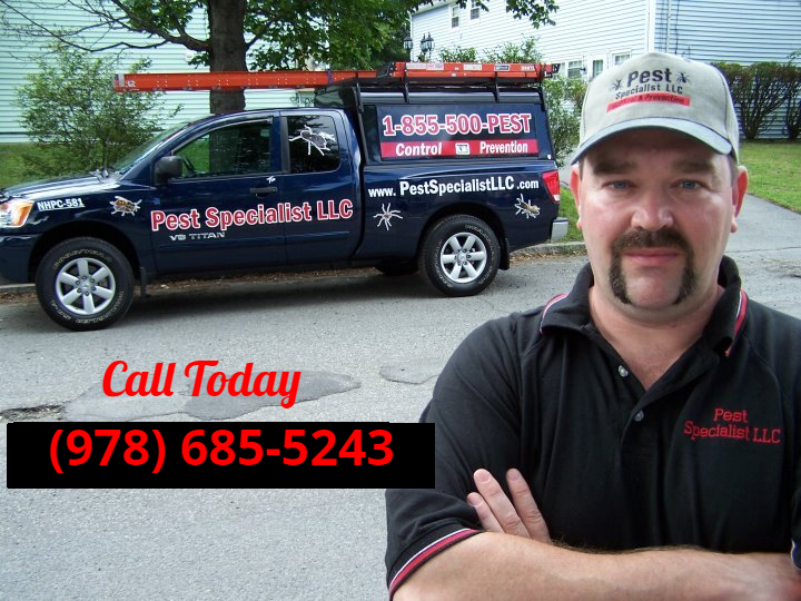 Pest Control Methuen, MA