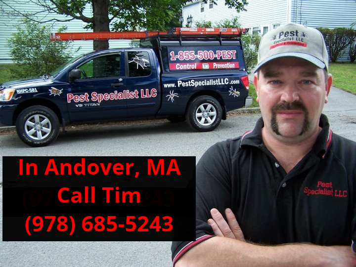 Pest Control Andover, MA