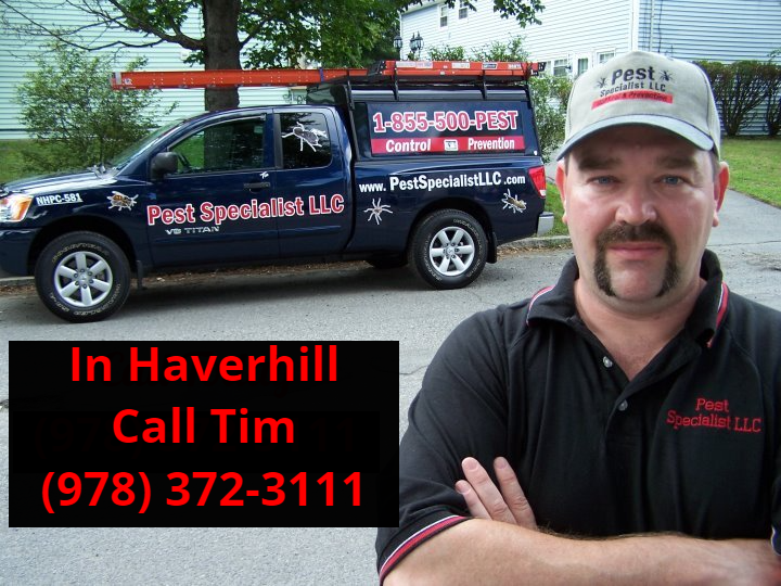 Pest Control Haverhill, MA