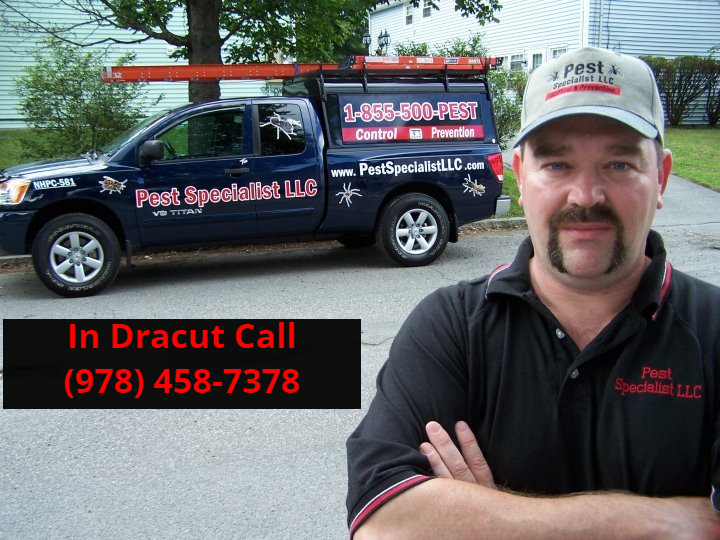 For over 25 years we have been providing pest control services in Dracut, MA. Pest Control Dracut, MA