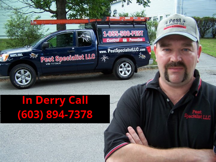 Pest Control Derry, NH