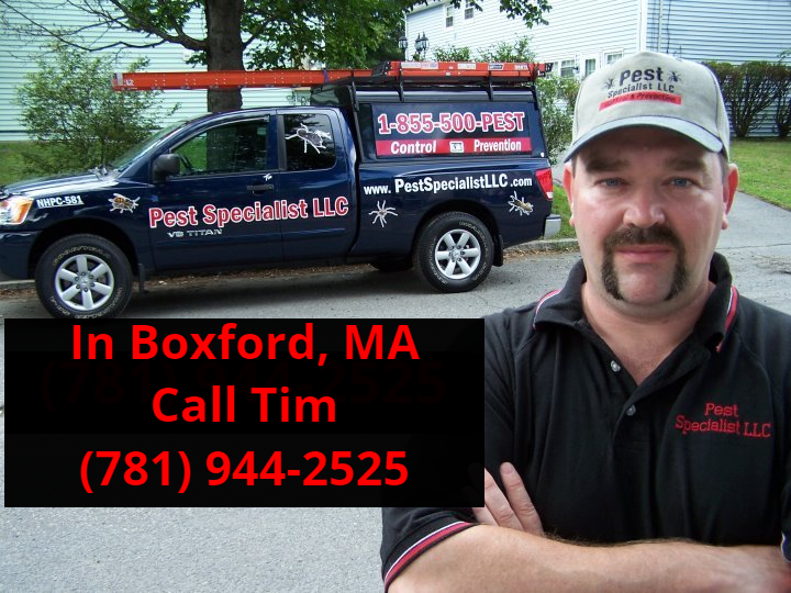 Pest Control Boxford, MA