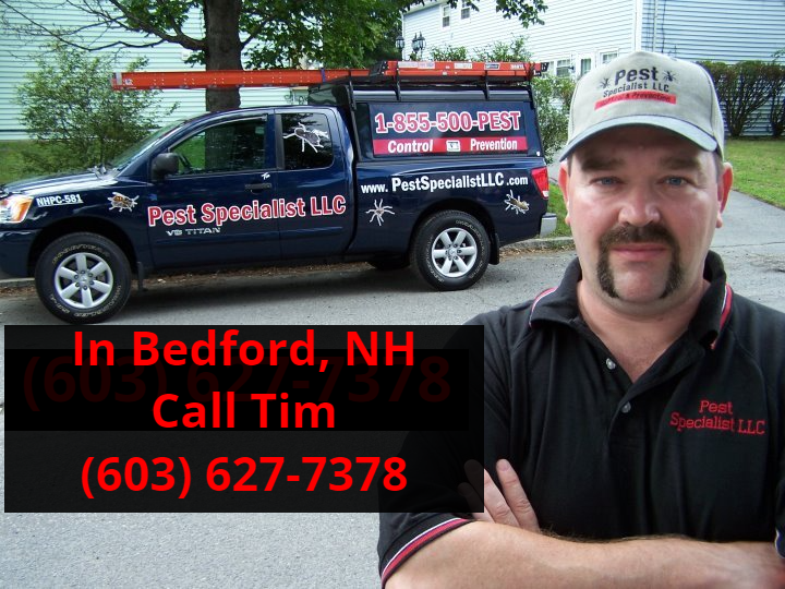 Pest Control Bedford, N.H.