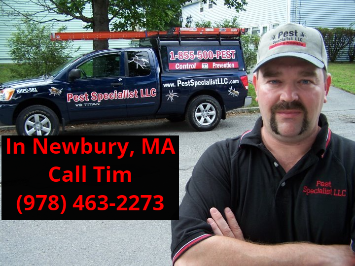 Pest Control Newbury, MA