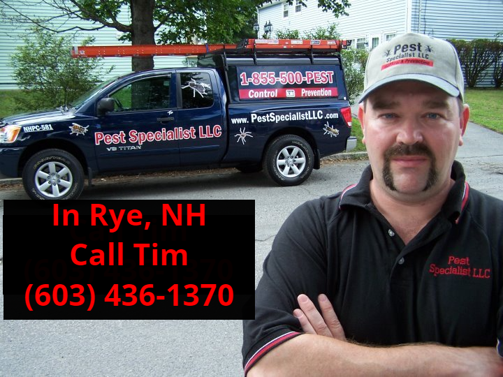 Pest Control Rye, NH