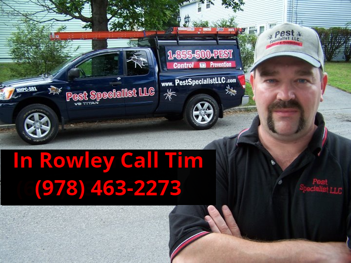 Pest Control Rowley, MA