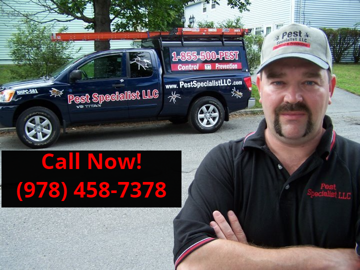 Pest Control Westford, Massachusetts