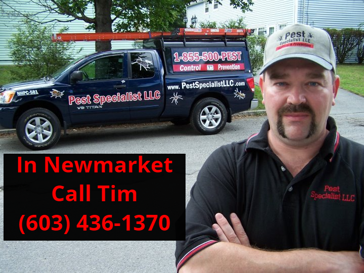 Pest Control Newmarket, NH