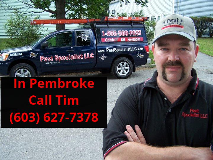 Pest Control Pembroke, NH