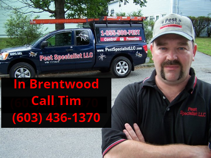 Pest Control Brentwood, NH
