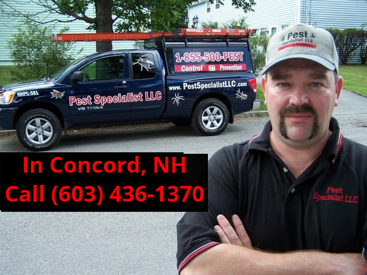Serving Concord, NH for Over 25 Years Pest Control Concord, NH