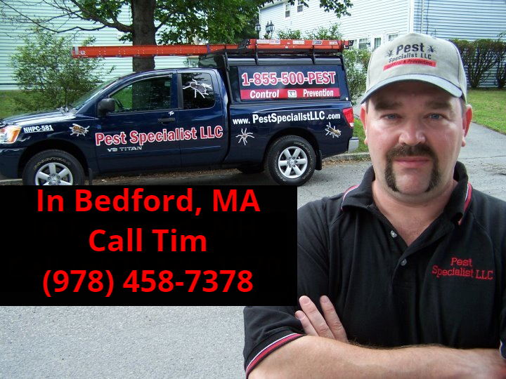Pest Control Bedford, MA