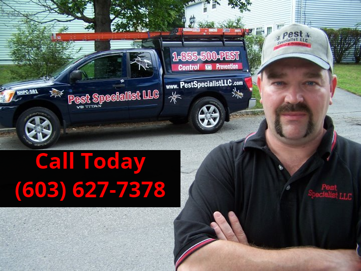 Pest Control Candia, NH