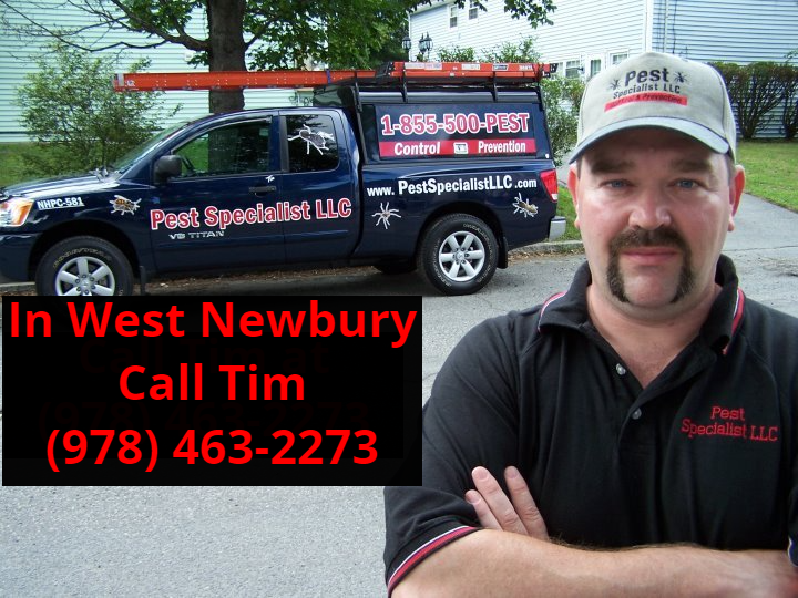 Pest Control West Newbury, MA