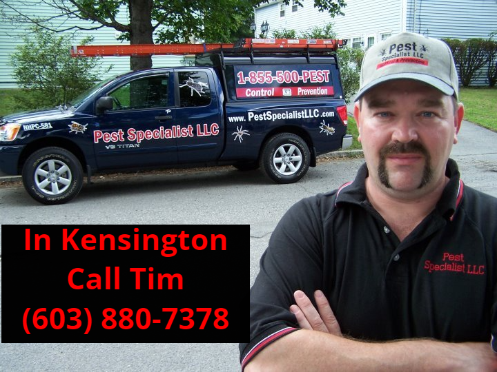 Pest Control Kensington, NH by Pest Specialist