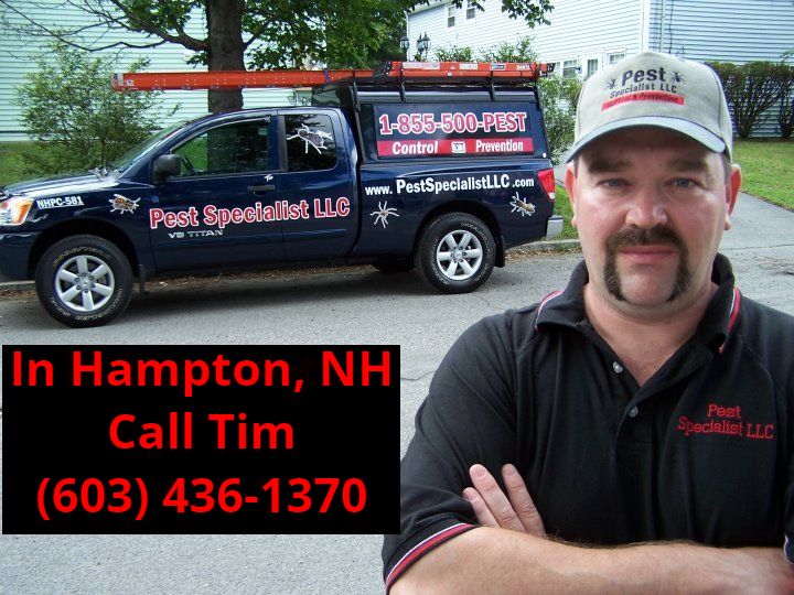 Pest Control Hampton, NH