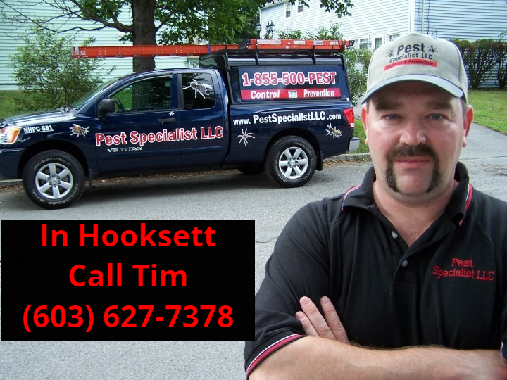 Pest Control Hooksett, NH by Pest Specialist