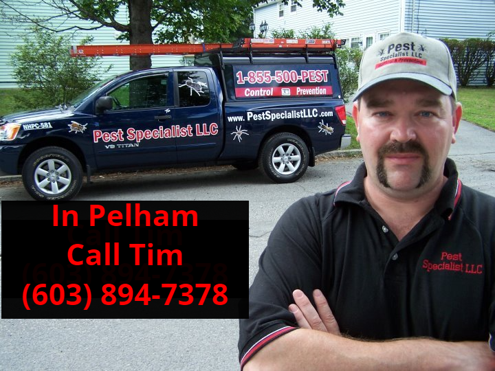 Pest Control Pelham, NH