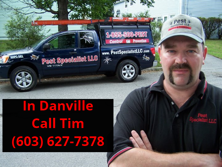 Pest Control in Danville, NH by Pest Specialist
