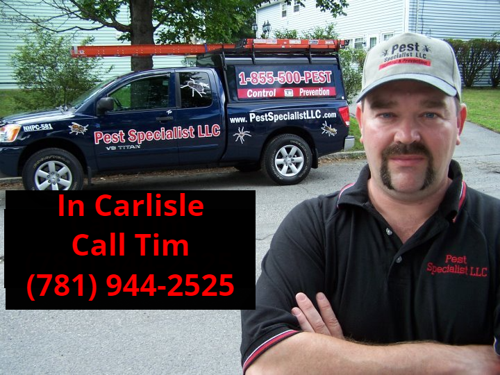 Pest Control Carlisle, MA