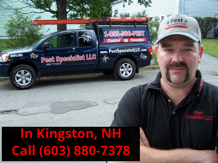 Pest Control Kingston, NH