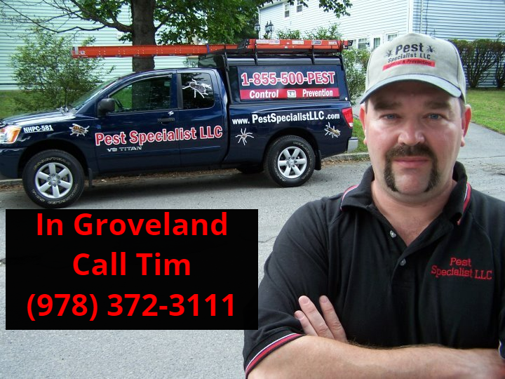 Pest Control Groveland, MA by Pest Specialist