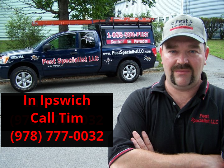 Pest Control Ipswich, MA