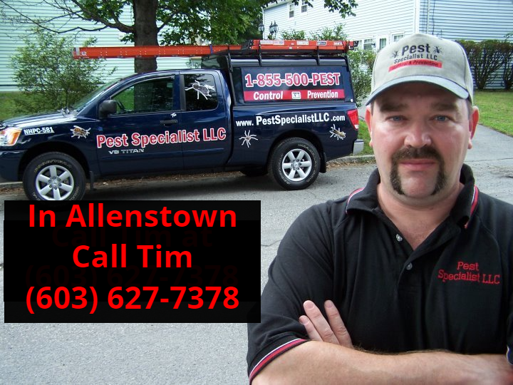 Pest Control Allenstown, NH