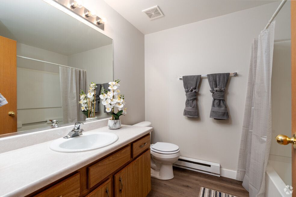 A bathroom with a sink , toilet , and shower.