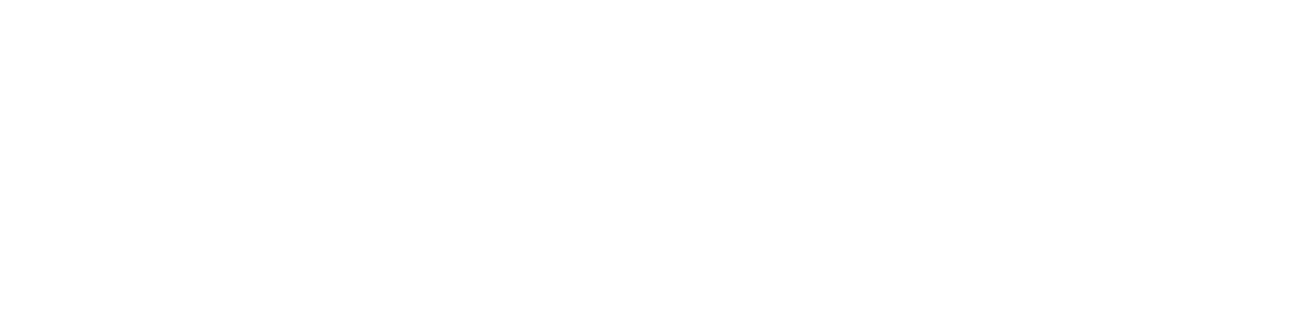 Company Logo - Footer