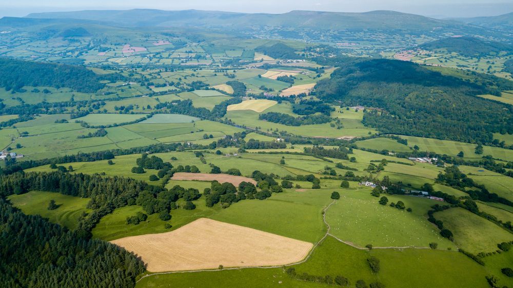 An Aerial View of Rolling Green Hills, Lush Forests, and Tan Fields — Environment Restoration Solutions in Coffs Harbour, NSW