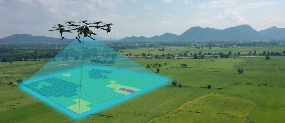 A Drone Flies Over a Green Field — Environment Restoration Solutions in Waterview Heights, NSW