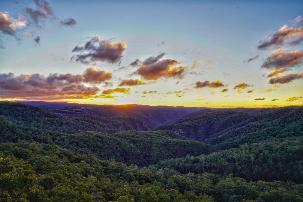Sunset Over a Forested Mountain Valley With Clouds Glowing Orange — Environment Restoration Solutions in Armidale, NSW