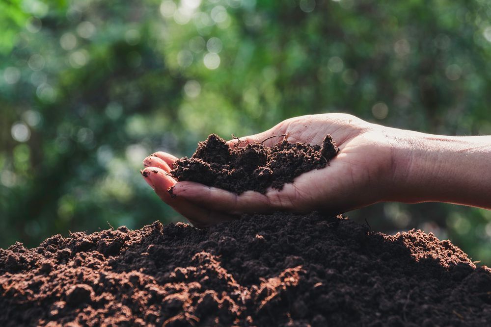 A Hand Holding a Scoop of Dark, Rich Soil — Environment Restoration Solutions in Lismore, NSW