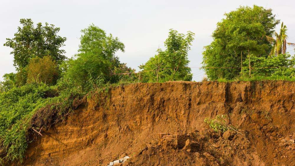 Steep Eroded Dirt Embankment with Green Shrubs — Environment Restoration Solutions in Waterview Heights, NSW