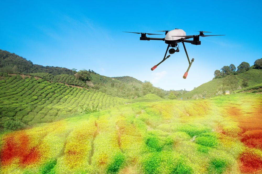 Drone Flying Over Colorful Crop Field — Environment Restoration Solutions in Waterview Heights, NSW