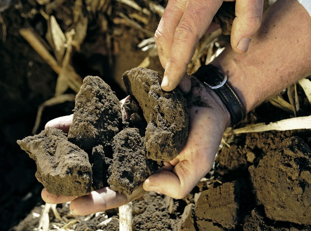 A Person Holds Dark, Clumped Soil in Their Hands — Environment Restoration Solutions in Lismore, NSW