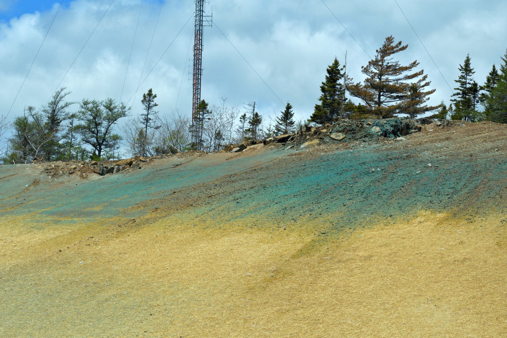 A Hillside With Patches of Vibrant Turquoise Mineral — Environment Restoration Solutions in Tweed Heads, NSW