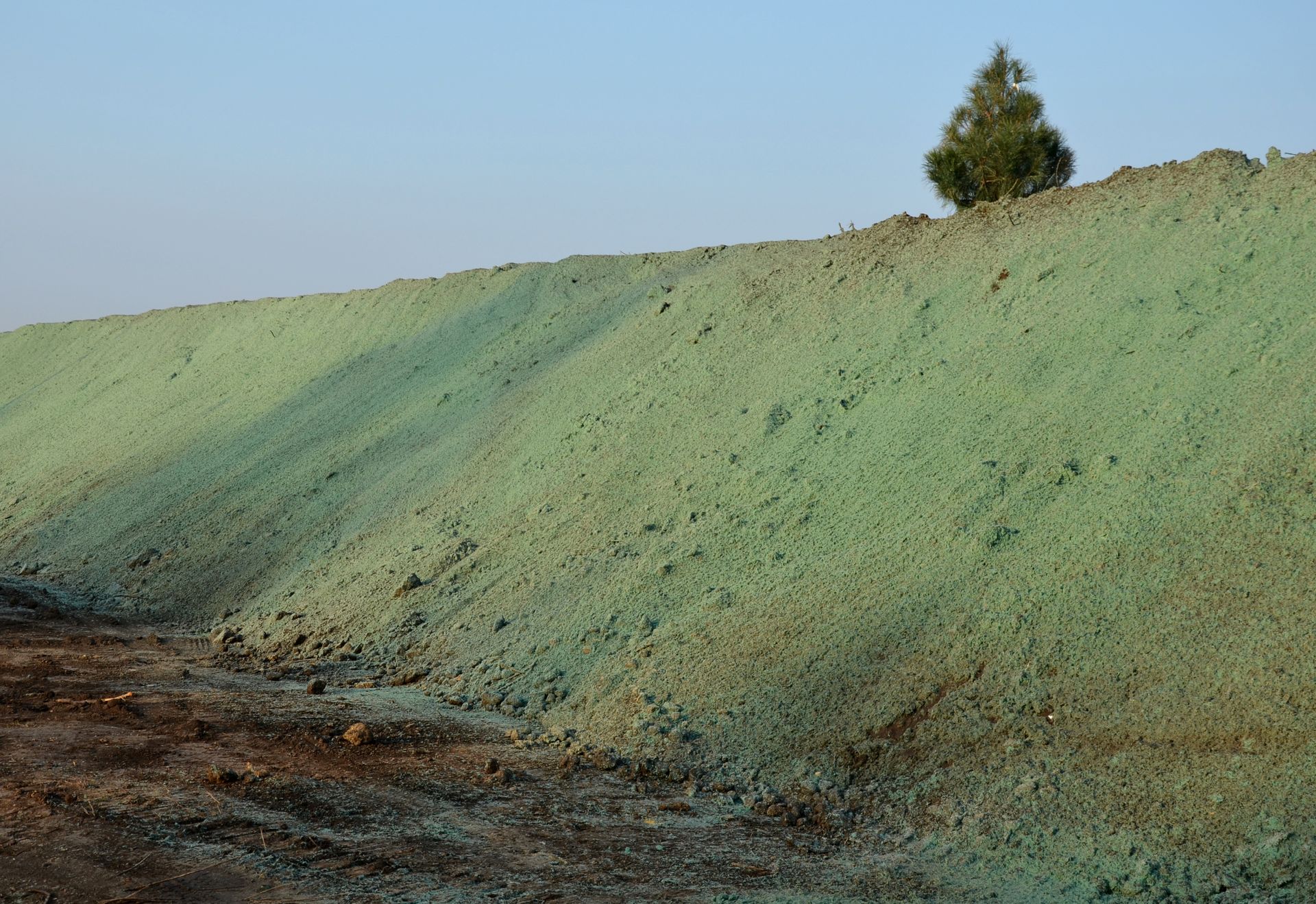 A Slope of Dirt Covered in a Layer of Bright Green Hydroseeding — Environment Restoration Solutions in Waterview Heights, NSW