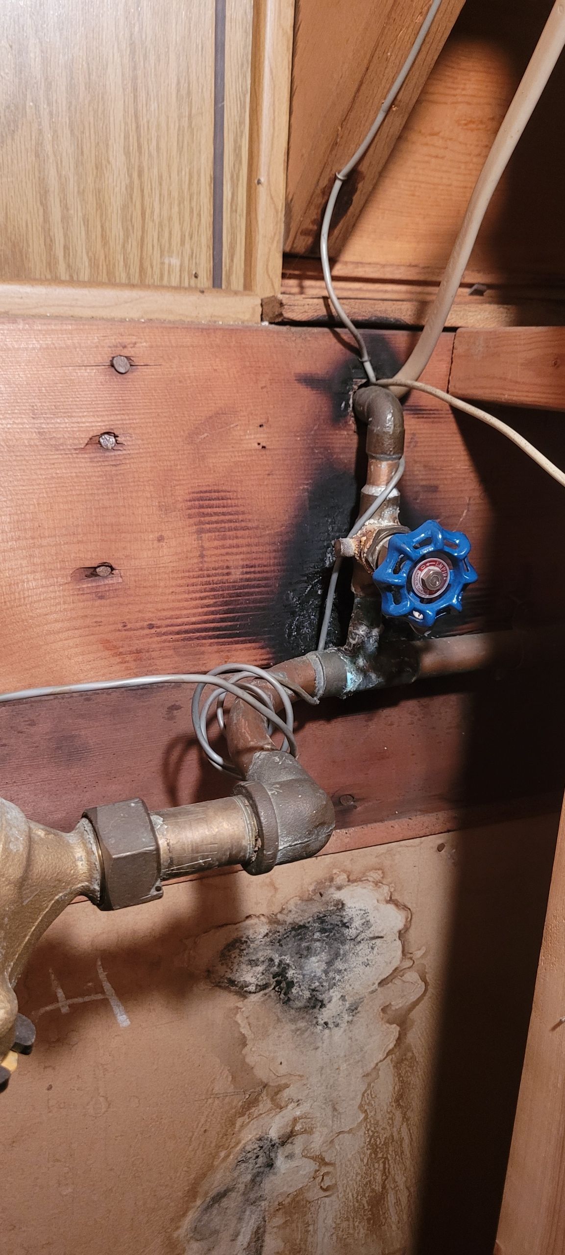 Rusty plumbing pipes and shutoff valve on a wall, with a blue knob and signs of water damage below