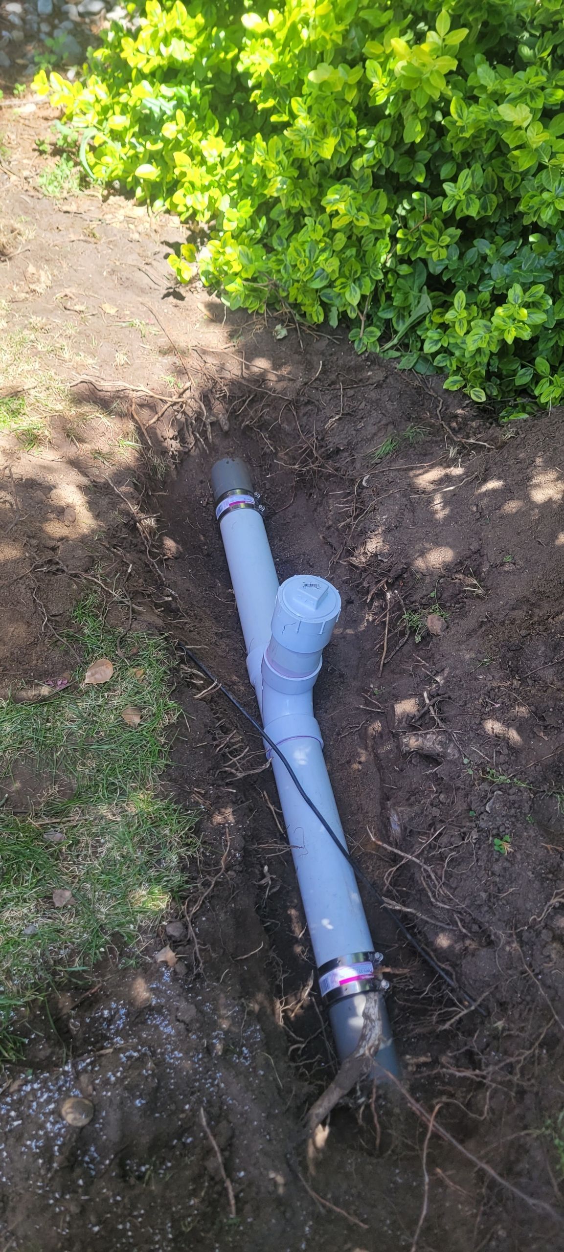 Damaged gray PVC pipe exposed in dirt beside a green shrub, with water or debris at the end